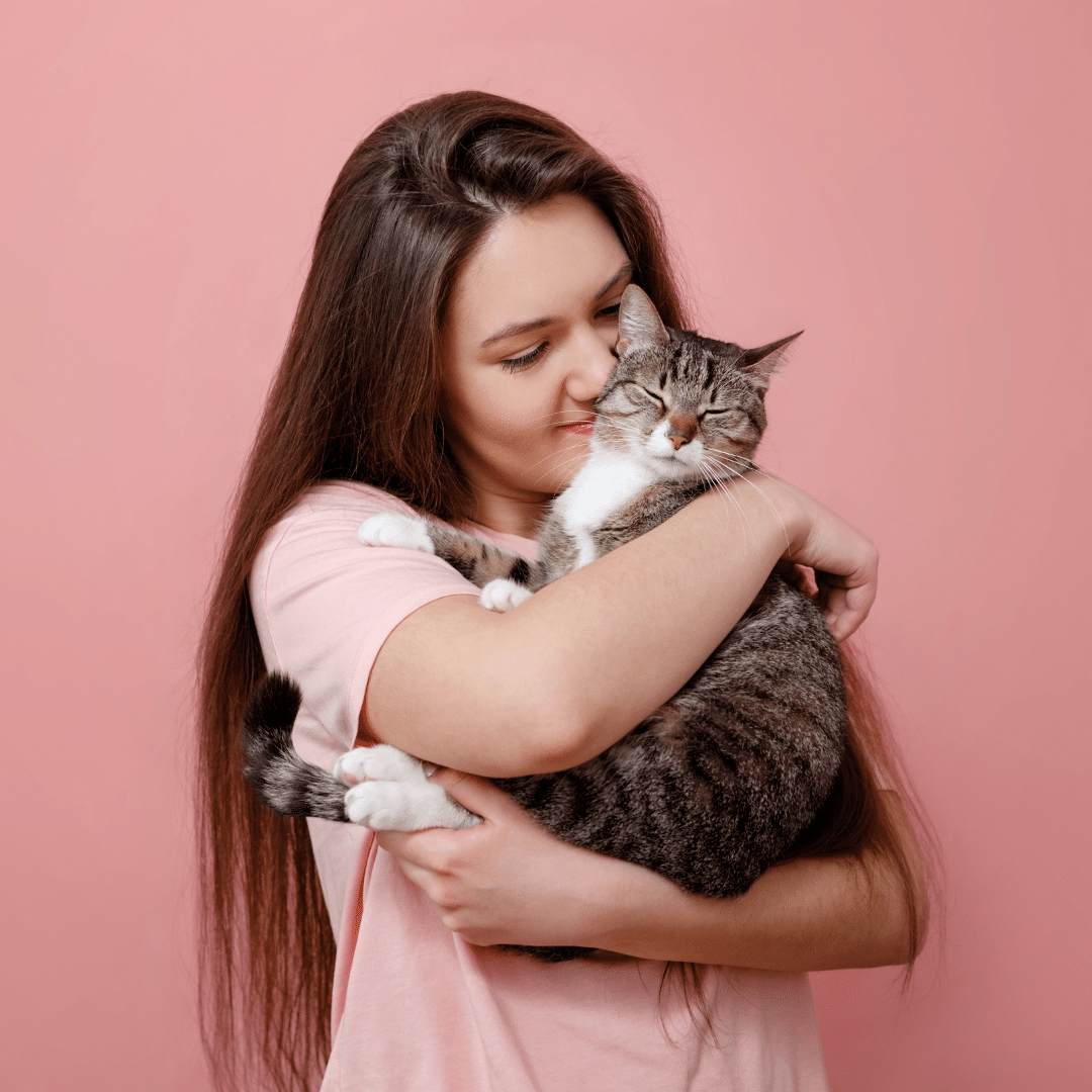 The Healing Power of Cats: Exploring the Therapeutic Benefits of Feline ...